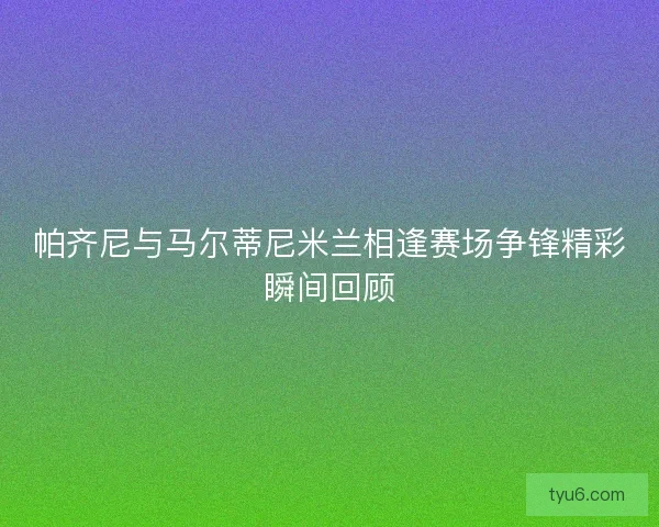 帕齐尼与马尔蒂尼米兰相逢赛场争锋精彩瞬间回顾