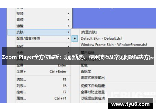 Zoom Player全方位解析：功能优势、使用技巧及常见问题解决方法